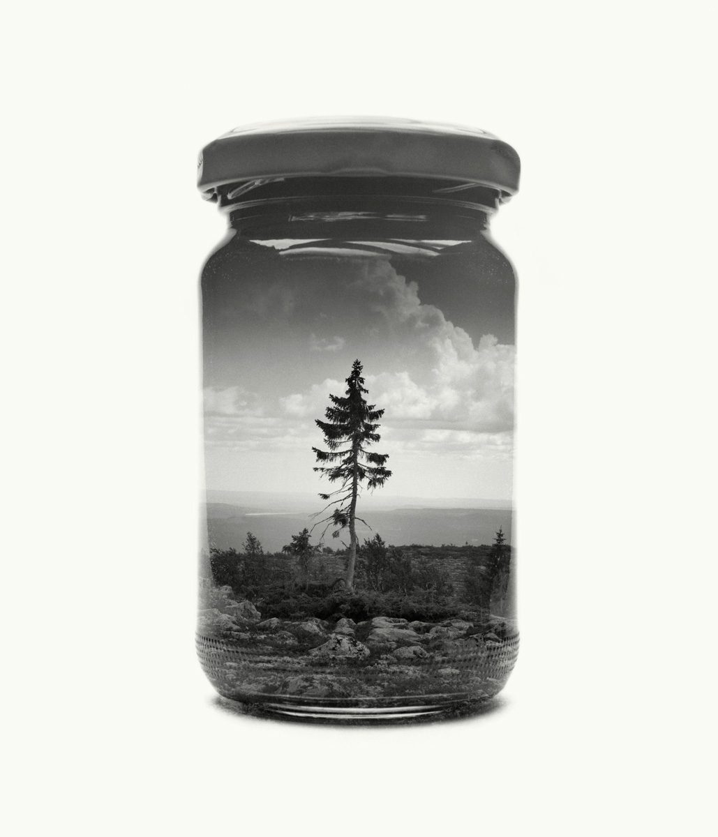 paysage-finlande-bocal-01
