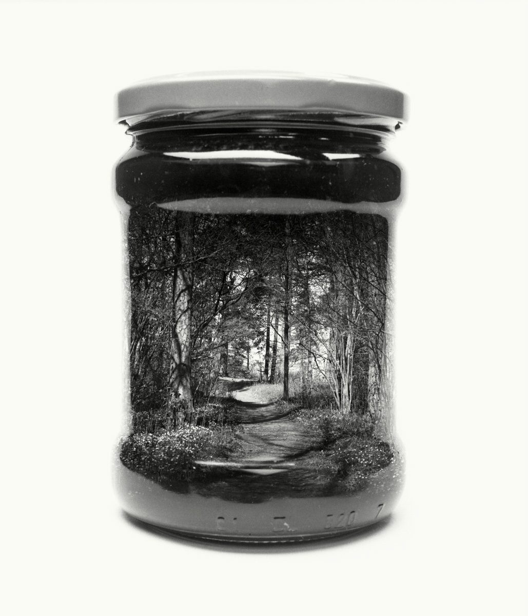 paysage-finlande-bocal-03