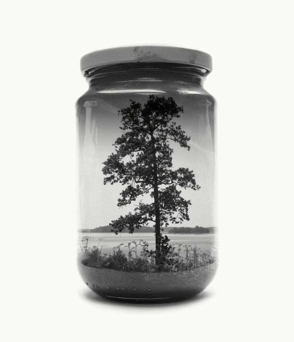 paysage-finlande-bocal-04