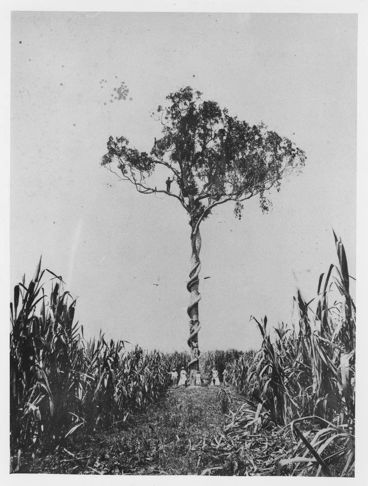photo-ancienne-vertige-40