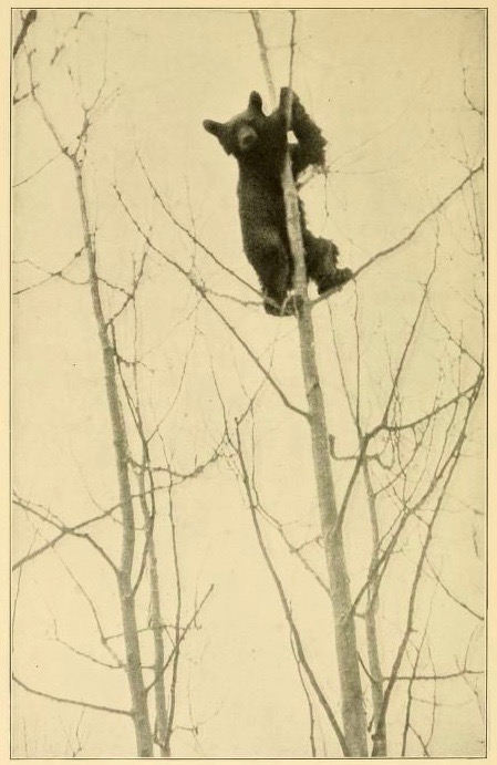 photo-ancienne-vertige-53