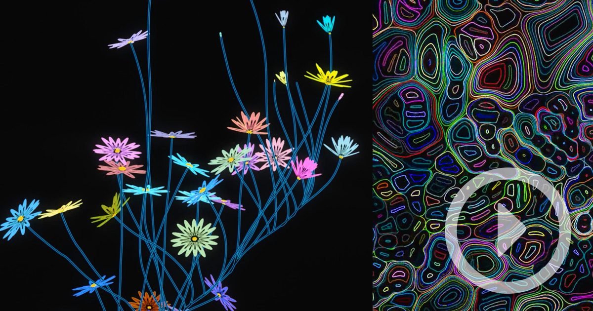 Du chaos de la pluie à la vie dans une vidéo graphique et hypnotisante