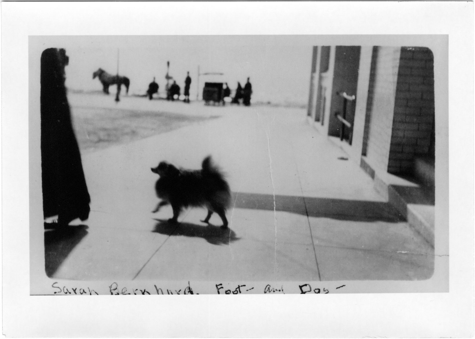 From Sarah Bernhard, foot and dog. Sysid 99980. Scanned as tiff in 2008/10/21 by MDAH. Credit: Courtesy of the Mississippi Department of Archives and History