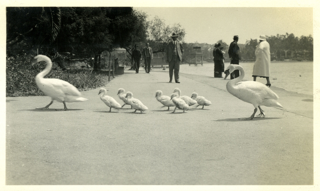 photo-ancienne-famille-vernaculaire-31