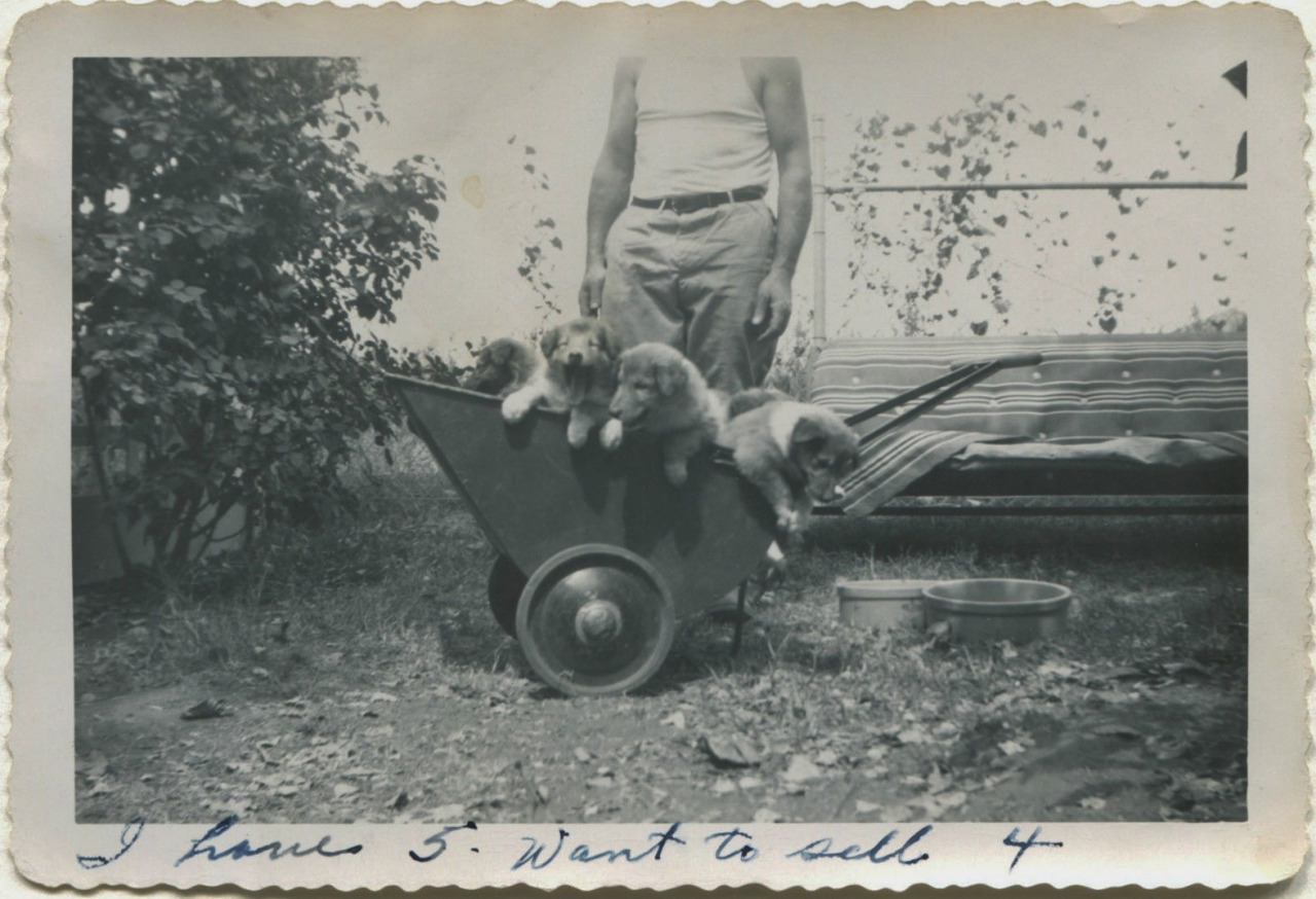 photo-ancienne-famille-vernaculaire-45