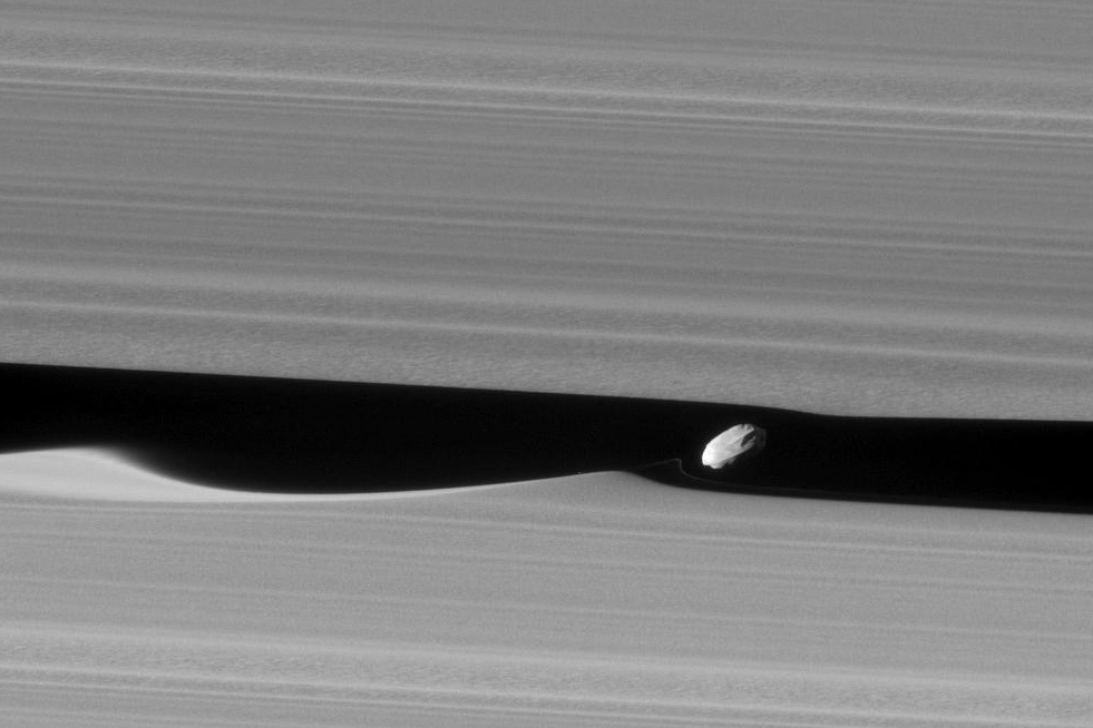 Daphnis surfe sur les vagues de Saturne