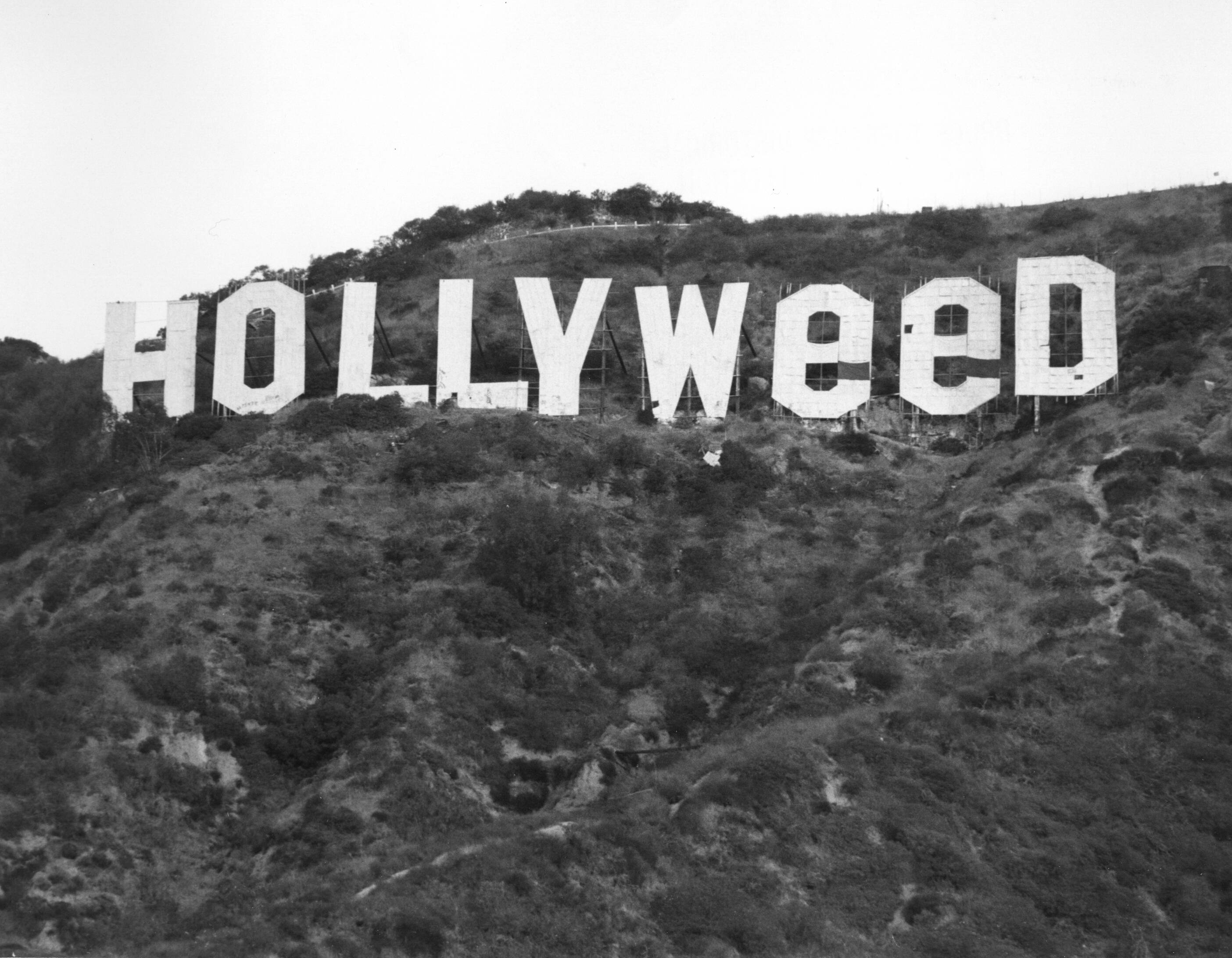 En 1976, un étudiant en art avait déjà transformé le panneau d’Hollywood en « Hollyweed »