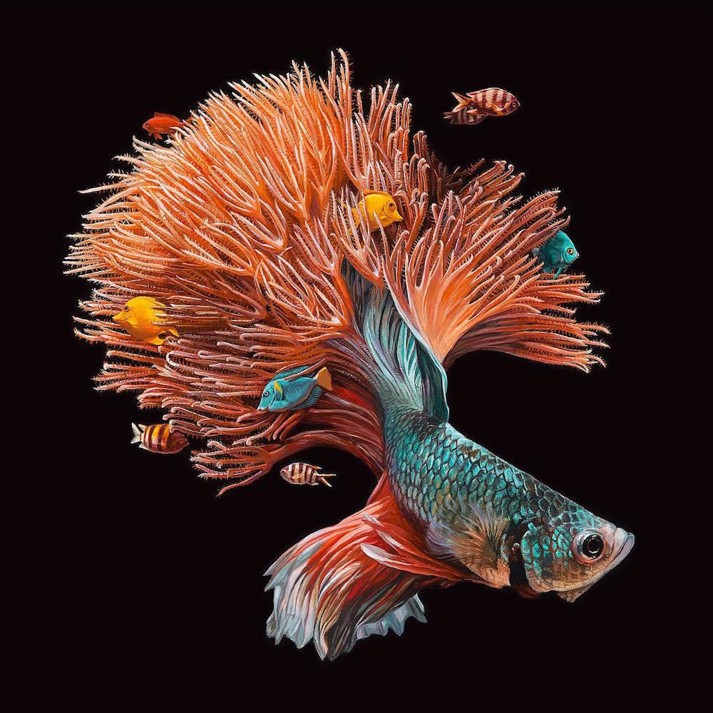 Ces peintures fusionnent des poissons et des coraux