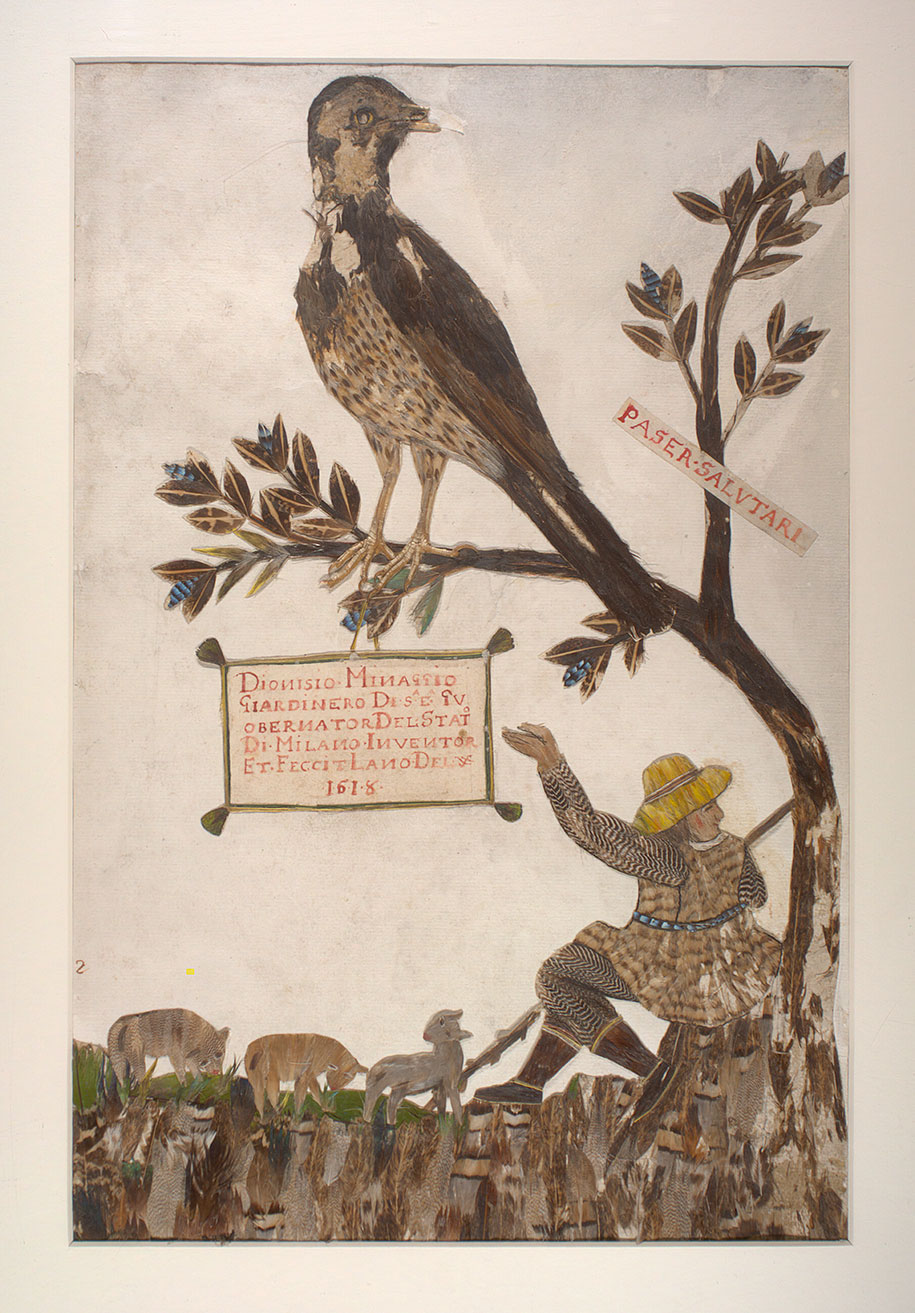 Ces superbes illustrations d’un livre ancien sont entièrement faites de plumes