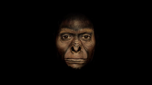 L&rsquo;évolution humaine en bodypainting