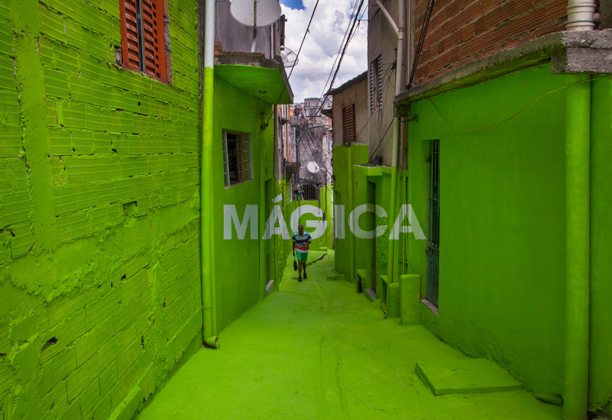 Ils peignent la magie et la poésie dans les rues de São Paulo