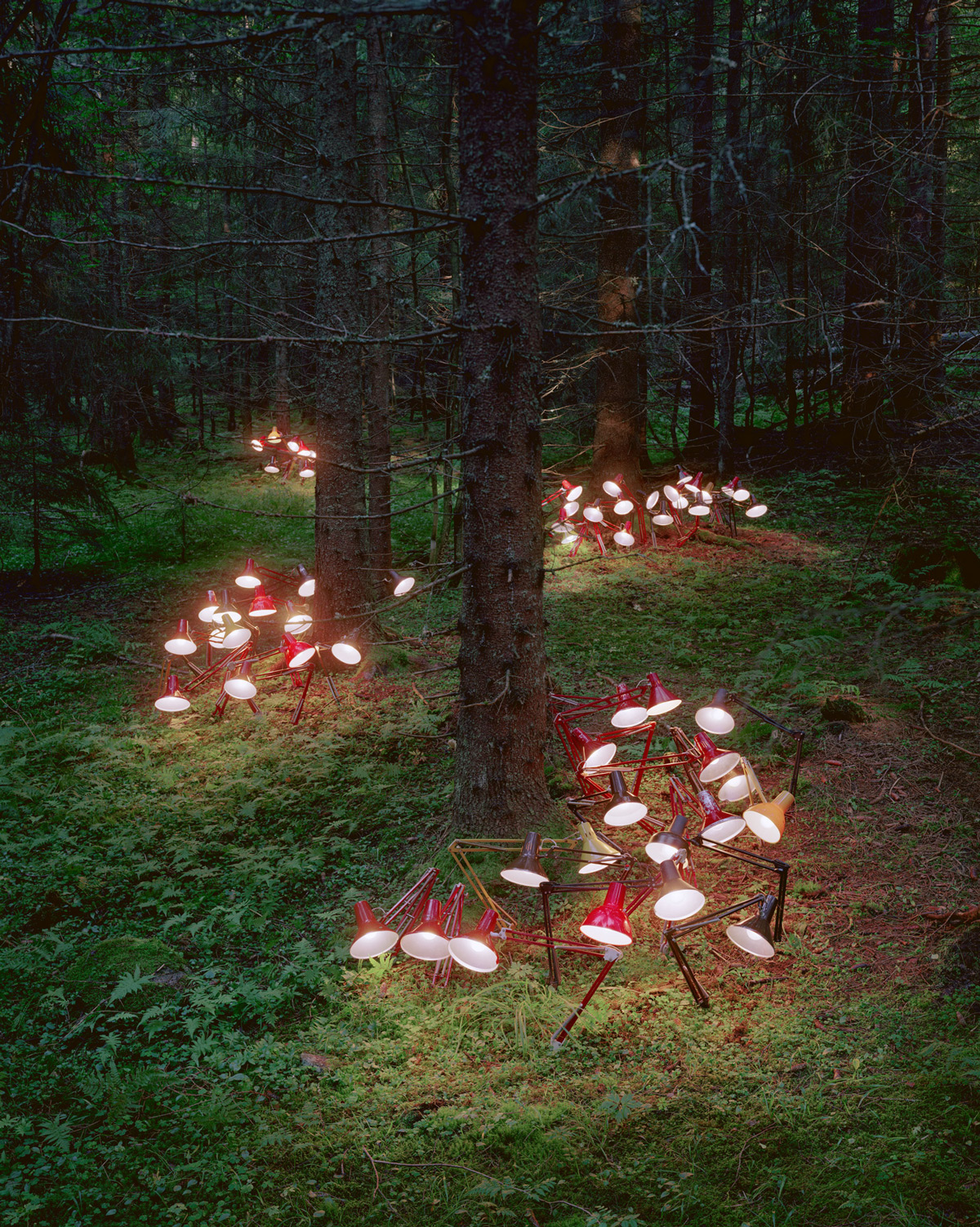 D’étranges installations d’objets dans les forêts norvégiennes