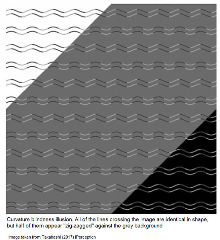 Des courbes et lignes brisées pour cette nouvelle illusion d’optique