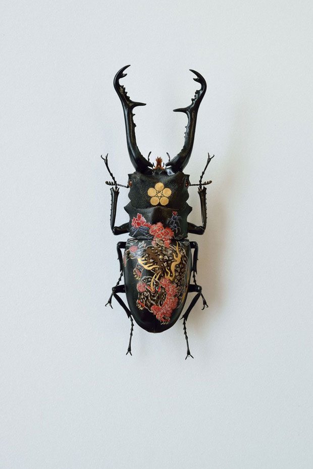De petites peintures sur des scarabées géants
