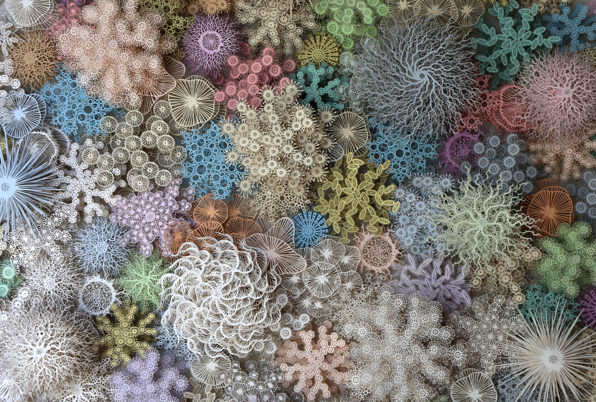 Le microbiome humain façon corail, en papier découpé