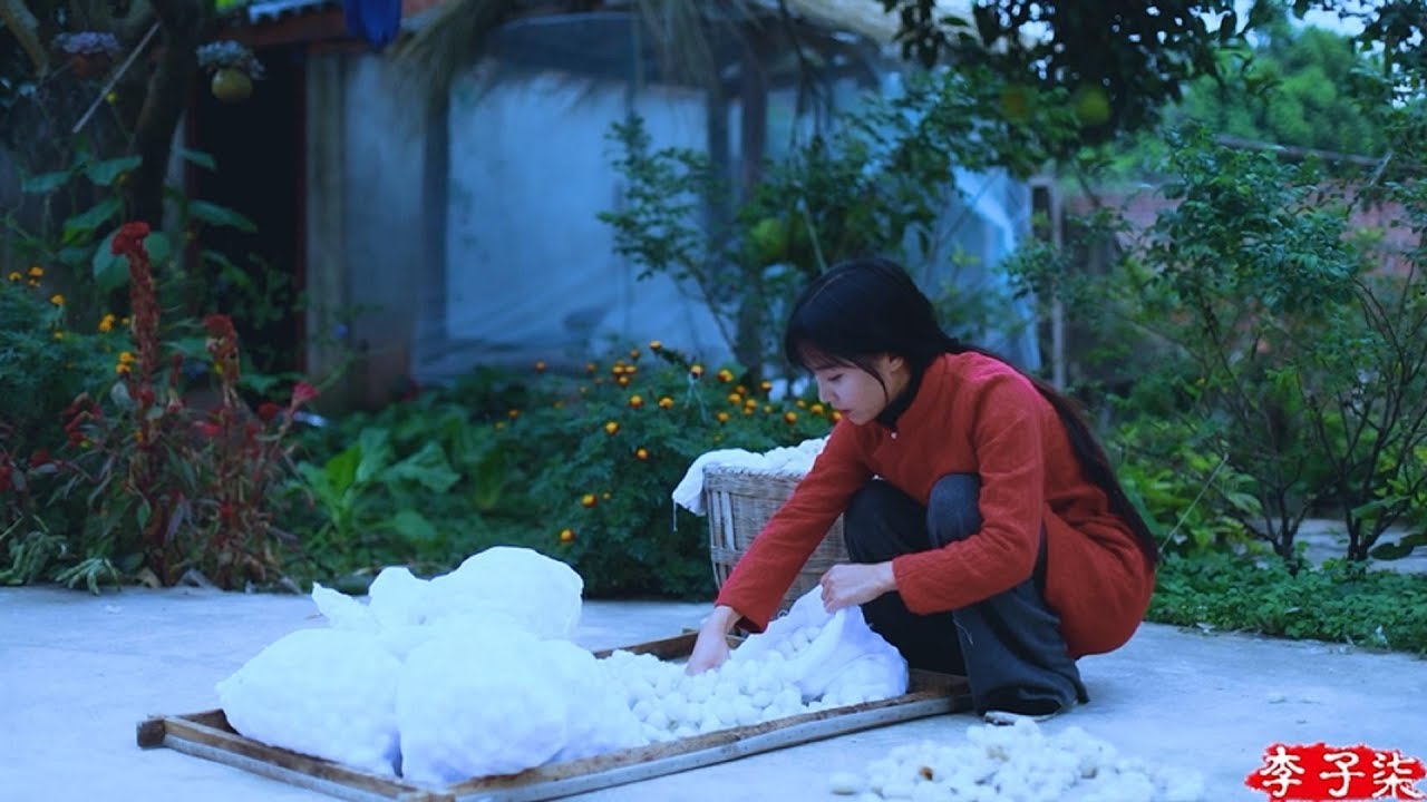 La fabrication traditionnelle chinoise d’un édredon en soie de bombyx