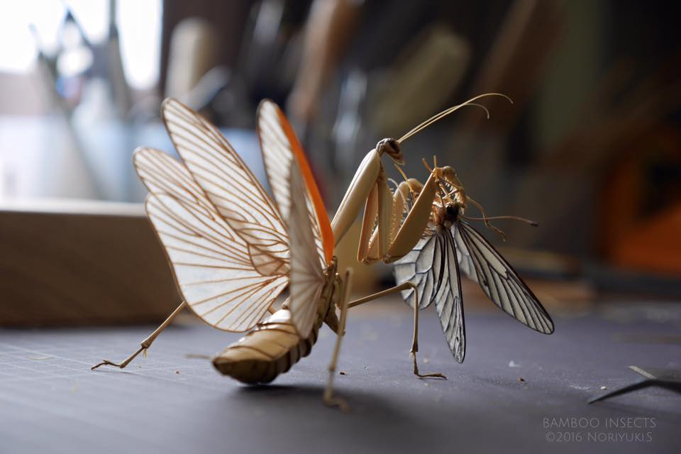 Des sculptures d’insectes incroyablement réalistes tout en bambou