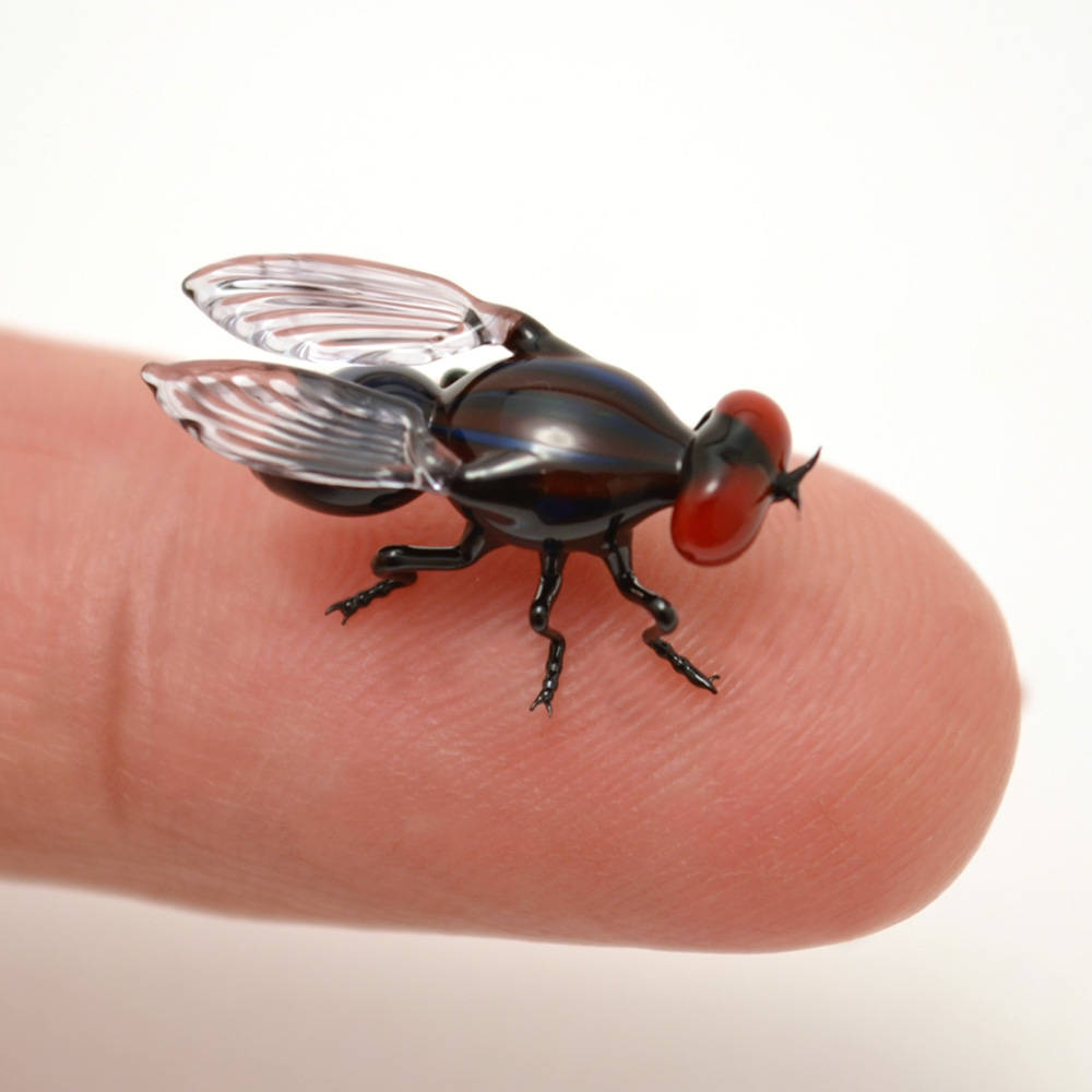 Des insectes de verre sur le bout des doigts